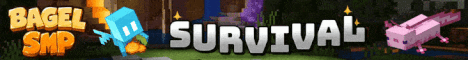 BagelSMP banner
