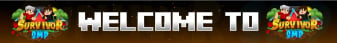 SurvivorSMP.net banner