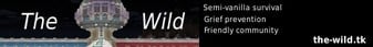 The-Wild-Banner