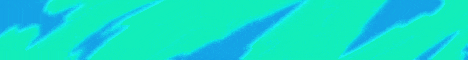Allay SMP-Banner