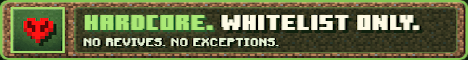 netgraph.gg banner