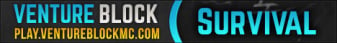 VentureBlockMC-Banner