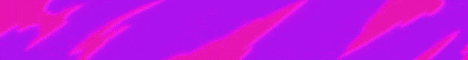 Prime Network Minecraft server banner
