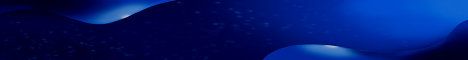 Blue Rockets-Banner