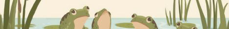 FroggieMC-Banner