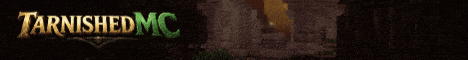 TarnishedMC banner