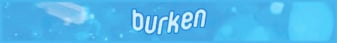Burken - Swedish Survival-Banner