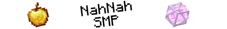NahNahSMP banner