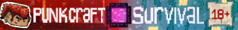 Punkcraft banner