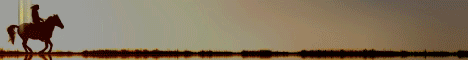 Pinecraft Equestrian-Banner