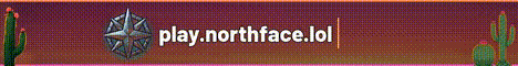 Northface banner
