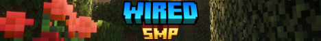 WiredSMP banner