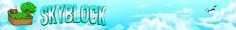 Skyblock banner